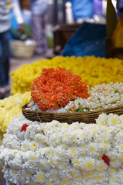 Mysore-Le marché-007